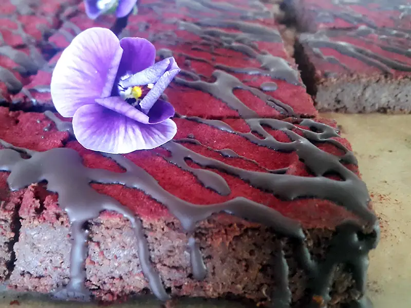 Nahaufnahme von Rote Beete Brownies, verziert mit dunkler Schokolade und violetten Stiefmütterchen.